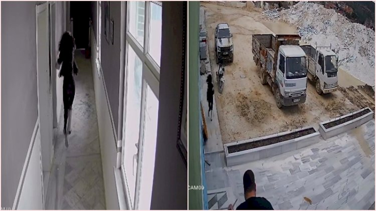 Maden mühendisi kadının yaşadığı dehşet anları kamerada