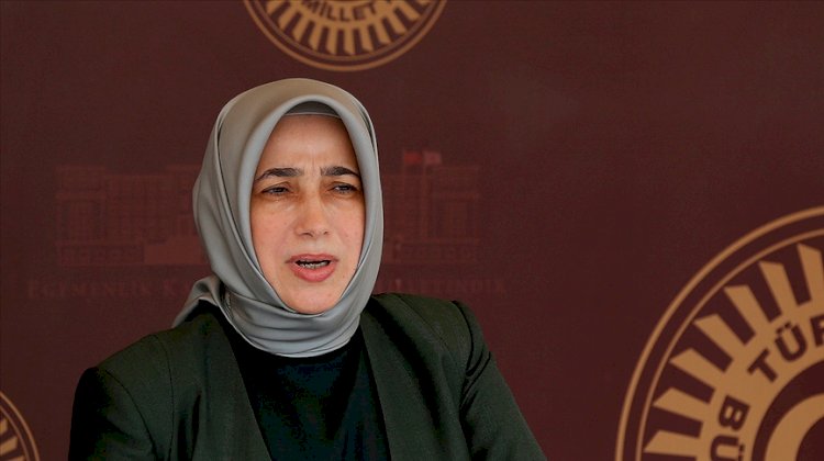 Özlem Zengin: Bana yönelik eleştiriler başörtülü olduğum için