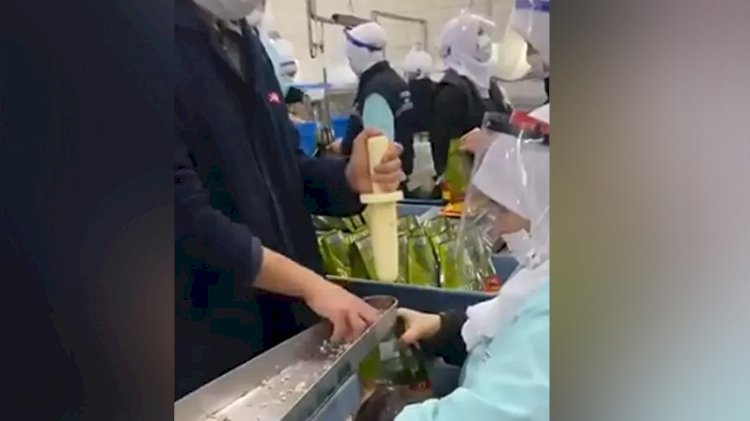 Ton balıklarının paketlenme görüntüleri tepki çekti