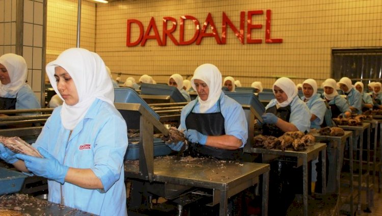 Tartışma yaratan görüntülere Dardanel'den açıklama