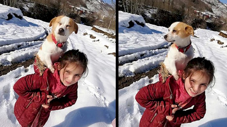 Küçük Cemre'nin büyük yüreği... Hastalanan köpeğini sırtında veterinere götürdü