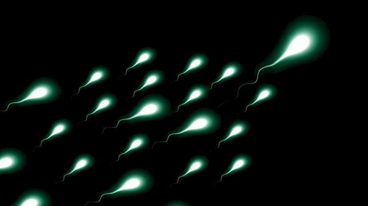 İnsan nesli tehlikede: 2045 yılında sıfırlanacak