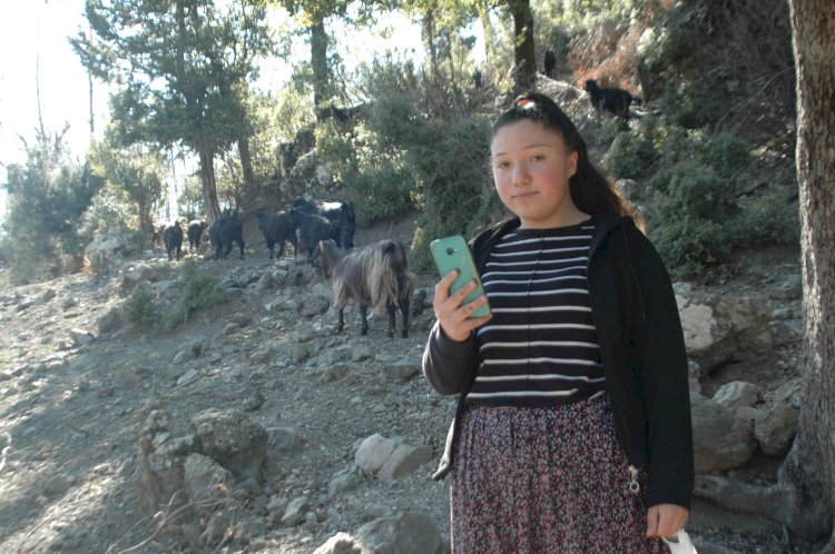 Keçilerini otlatırken canlı derse giriyor