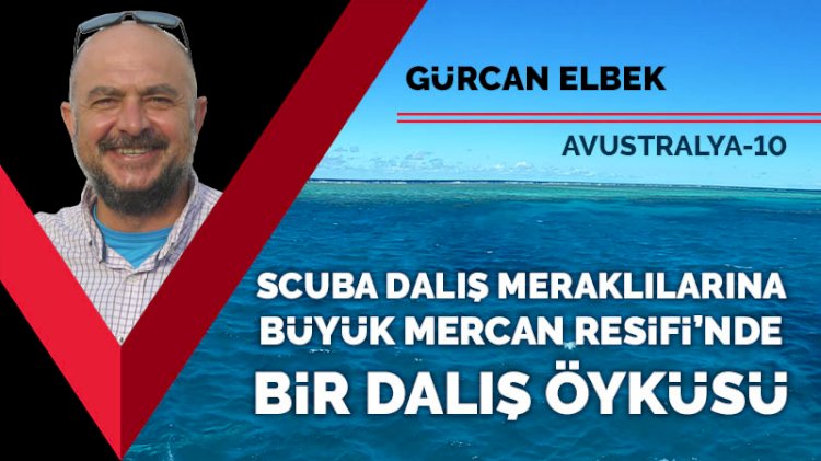 Scuba dalış meraklılarına Büyük Mercan Resifi'nde bir dalış öyküsü