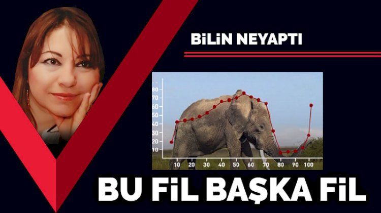 Bu fil başka fil