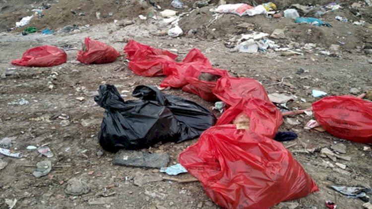 Ankara Barosundan, köpek ölümleriyle ilgili suç duyurusu