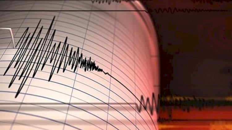 Yeni Zelanda'da 7.3'lük deprem: Tsunami gelebilir