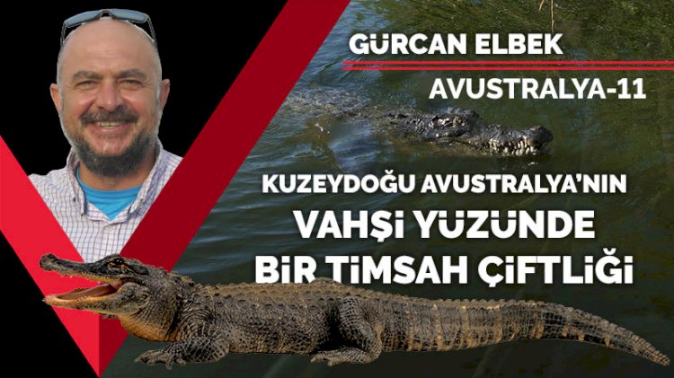 Kuzeydoğu Avustralya'nın vahşi yüzünde bir timsah çiftliği
