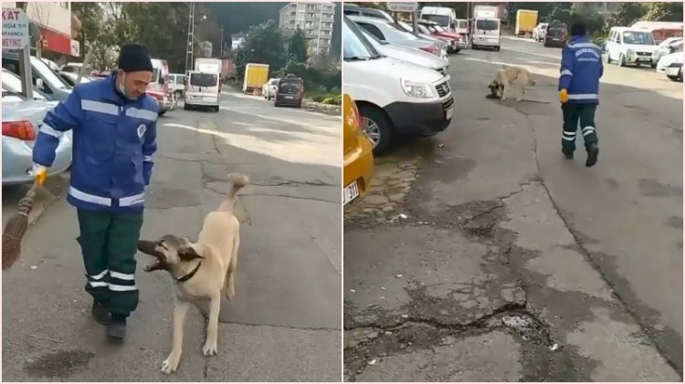 Temizlik işçisiyle köpeğin arasındaki 'süpürge' kavgası