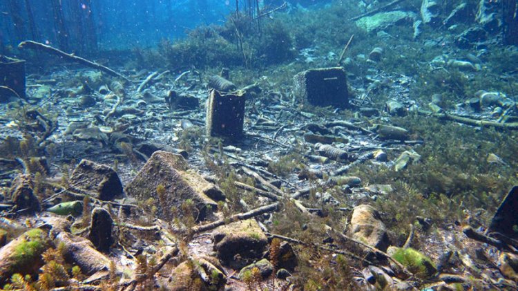 İçme suyu kaynağında şoke eden görüntü