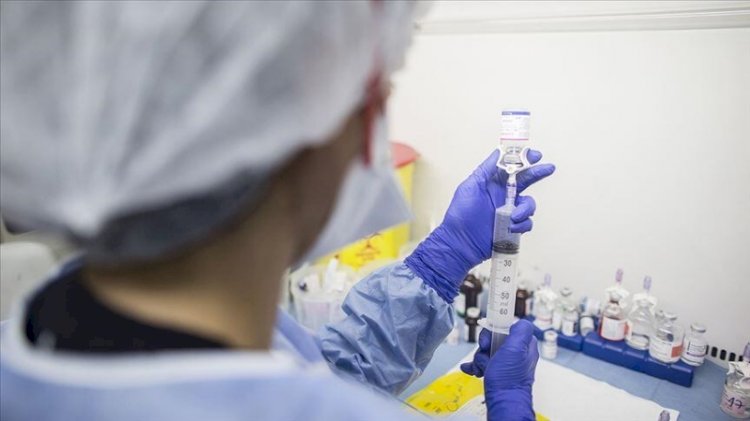 Bilim insanları havadan DNA topladı