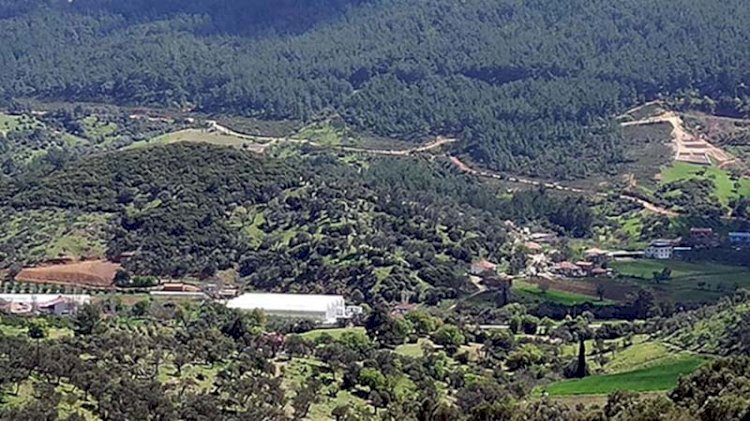 Seferihisar köylüleri yetkililere sesleniyor: Zeytinliklerimize dokunmayın