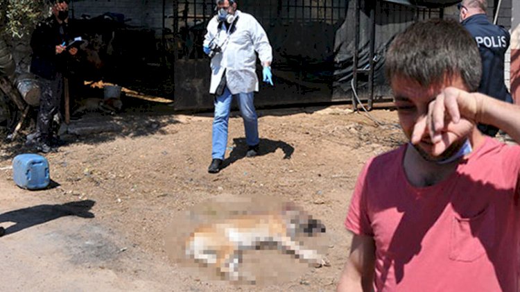 İki köpeği vuruldu, gözyaşlarının sebebi yürekleri dağladı