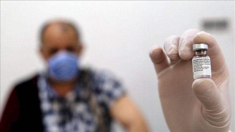 Randevuya gelinmeyince Biontech aşıları ziyan oldu