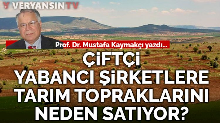Çiftçi, yabancı şirketlere tarım topraklarını neden satıyor?