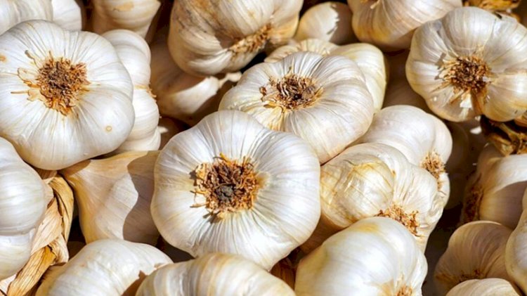 Türkiye'nin AB'de tescilli coğrafi işareti 7'ye çıktı
