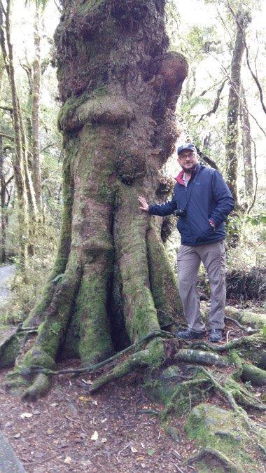  /></p><h2><b><i>Hokitika…</i></b></h2><p><em><span style=