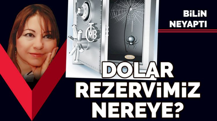 Döviz rezervimiz nereye?