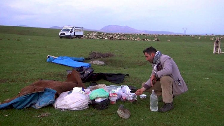 İftar ve sahurlarını sürülerinin başında yapıyorlar