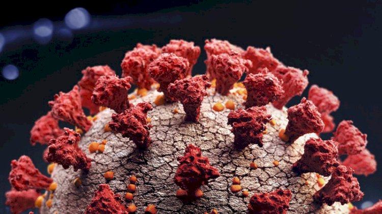 PCR testlerinde görünmüyor: Hayalet Varyant