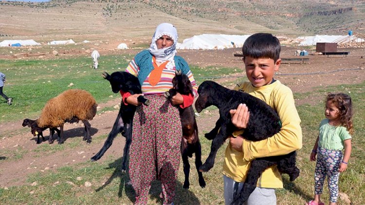 Yaylalara göç hazırlığı