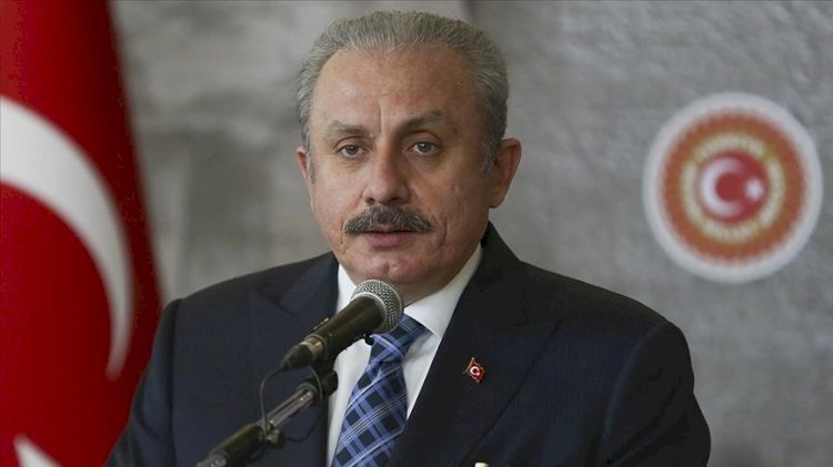 Mustafa Şentop: FETÖ'nün tek bir amacı olduğunu görüyoruz