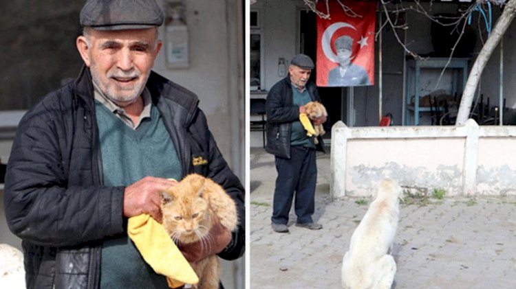 Pandemide kapanan kahvehanesini sokak hayvanlarına açtı