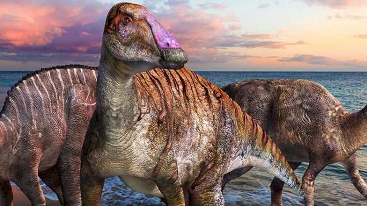 İki ayaklıdan dört ayaklıya evrime işaret eden yeni bir dinozor türü keşfedildi