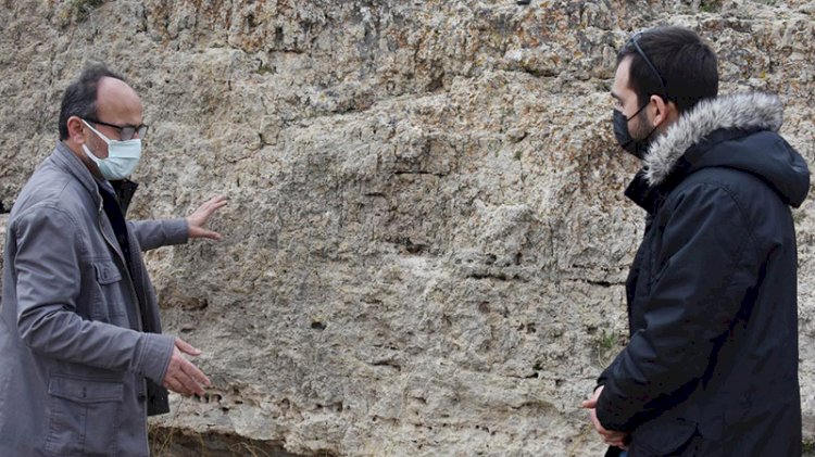 1 kilometrekarelik alanda onlarca var! Tek tek tespit edildi