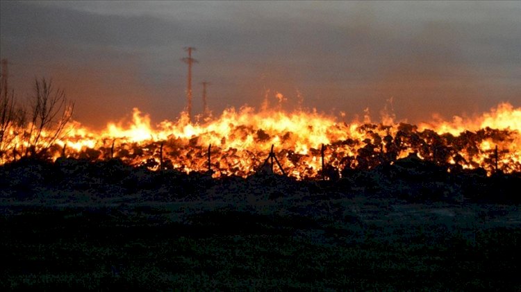 Afyonkarahisar'da biyokütle enerji santralinde yangın çıktı