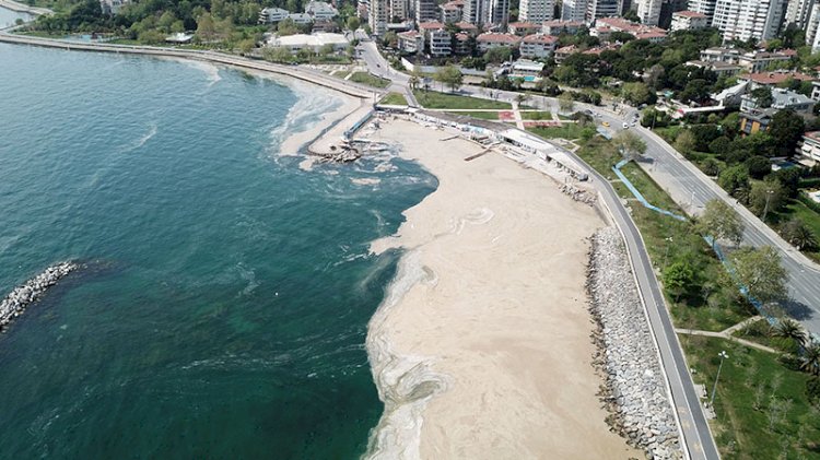 Korkutan 'deniz salyası' açıklaması