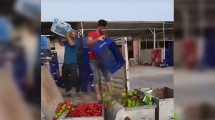Üreticiler isyan etti: Tonlarca mahsulü çöpe döktüler!