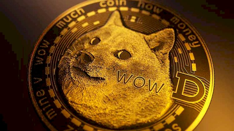 Dogecoin'den tarihi zirve