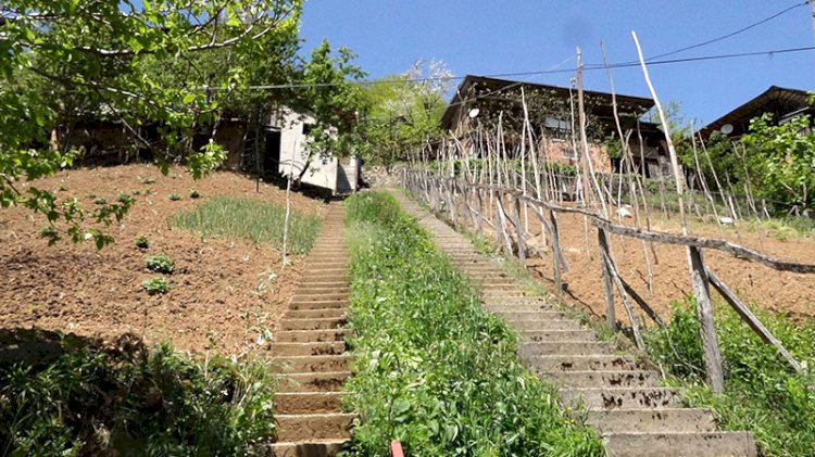 Komşular anlaşamadı: Evler arasına 'inat merdivenleri'