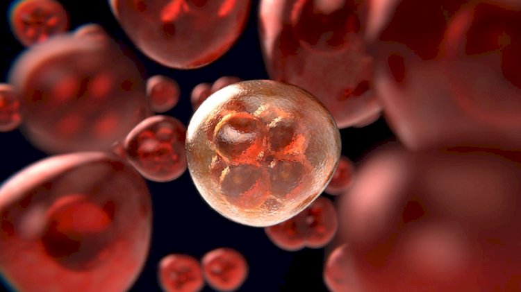 1 milyon kanser vakası gözden kaçtı