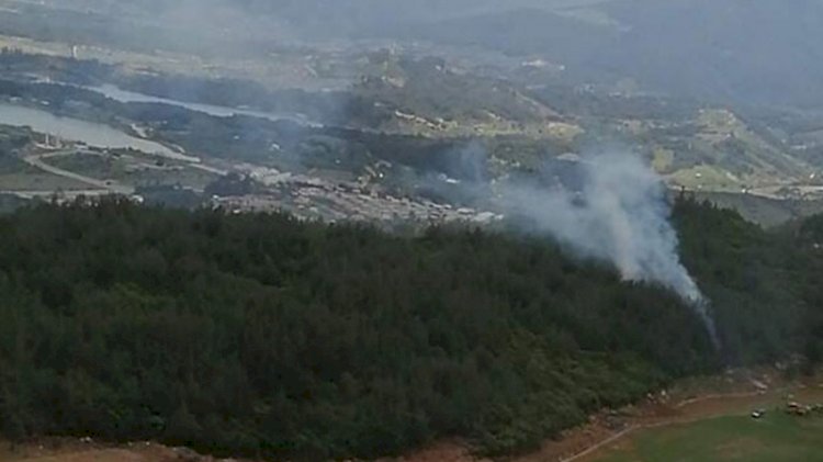 İzmir'de orman yangını