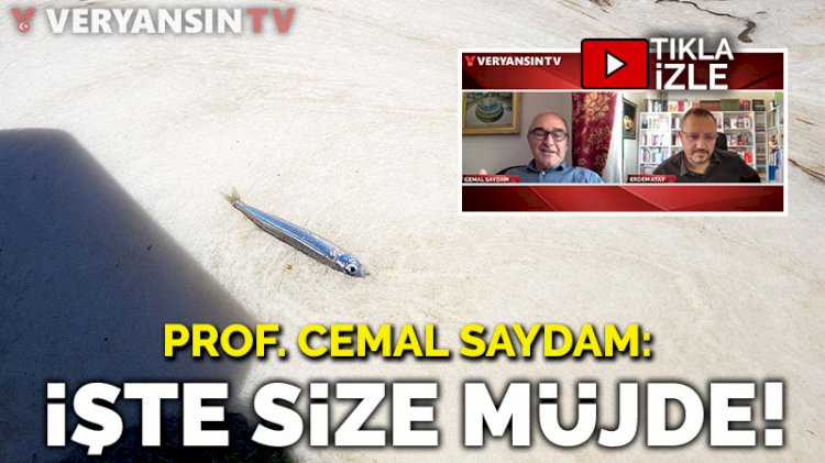 Prof. Cemal Saydam: İşte size müjde!