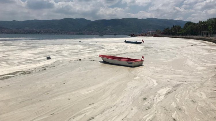 Müsilaj için 'çevresel koşul' araştırması