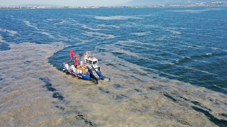 Müsilajlı denize girilir mi? Uzmanlar açıkladı
