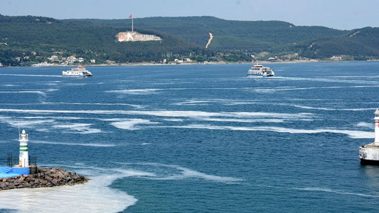 Çanakkale Boğazı’nda müsilaj alarmı