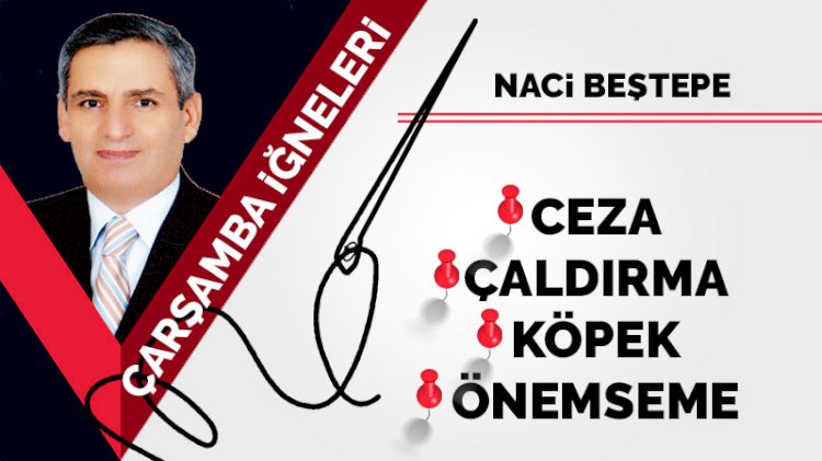 Değerlendirme, Ceza, Çaldırma