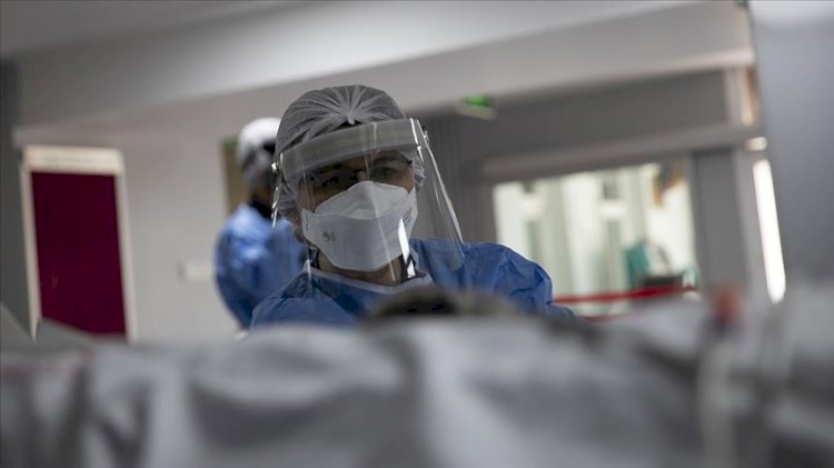 1 Ağustos Türkiye'de koronavirüs tablosu