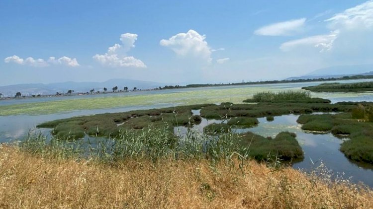 Ege başka bir tehditle karşı karşıya