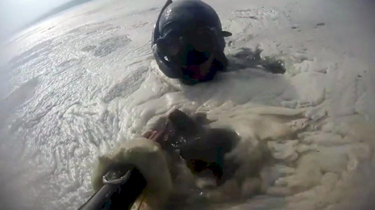 İşte müsilajın deniz altındaki tahribatı