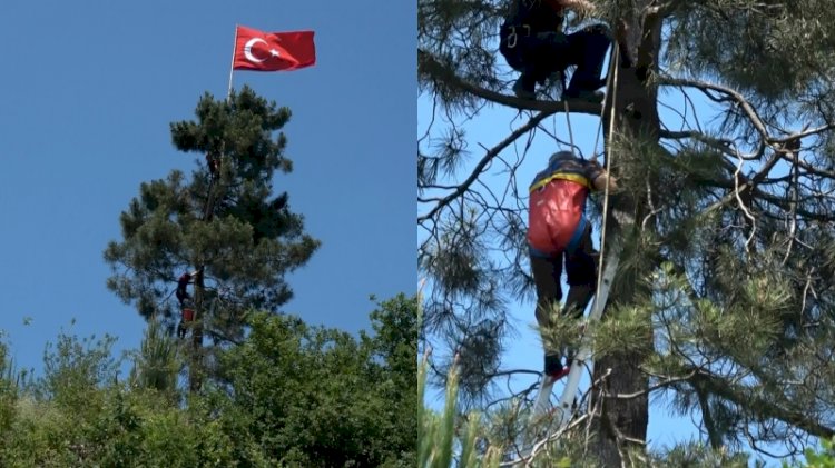 Yıpranan Türk bayrağını değiştirmek için çıktığı ağaçta mahsur kaldı