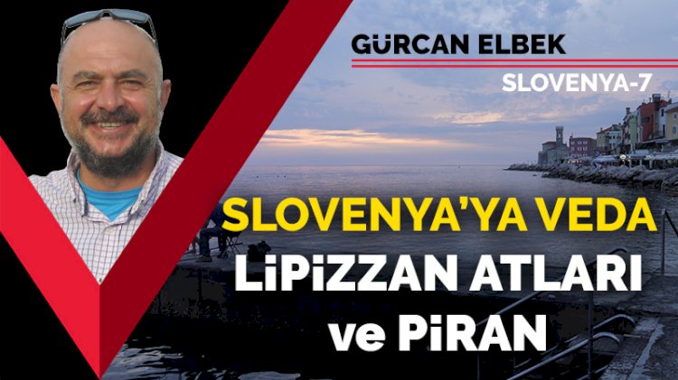Slovenya'ya veda: Lipizzan atları ve Piran