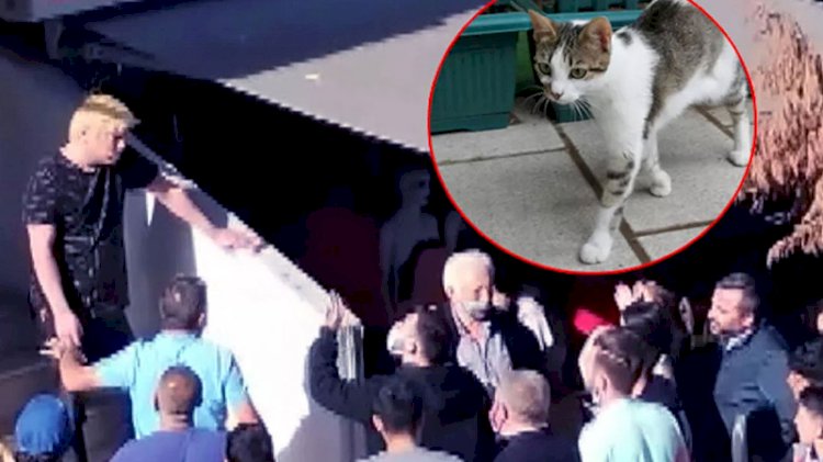 Kedi yediğini itiraf eden Japon vatandaşı sınır dışı edilecek