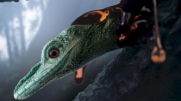 Dünyanın en küçük dinozoru zannediliyordu, gerçek ise yeni anlaşıldı
