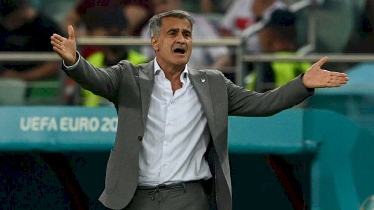 Şenol Güneş'ten Galler mağlubiyeti sonrası açıklama