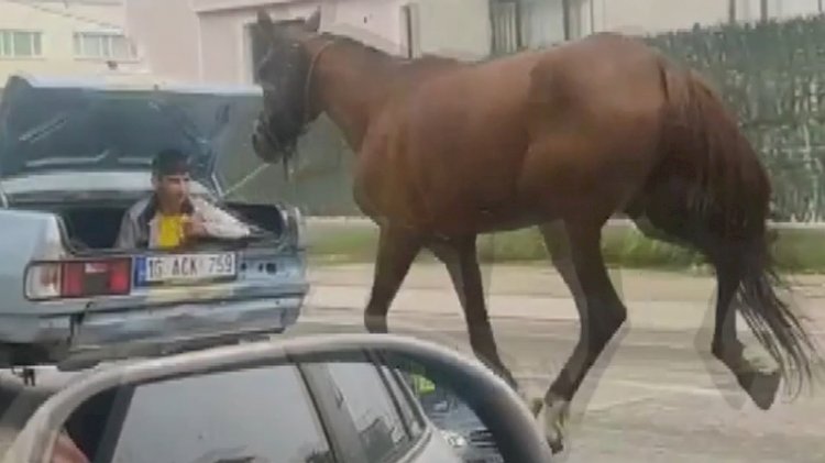 Atı iple bağlayıp arabanın arkasında koşturdular